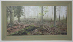 Jarní Šumava