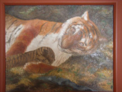 Tygříci